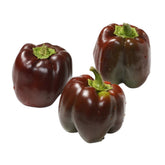 Hectarul - Seminte de ardei Sweet Chocolate, 0.5 grame FLORIAN